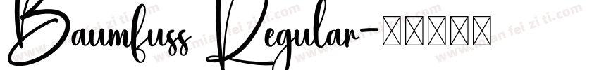 Baumfuss Regular字体转换